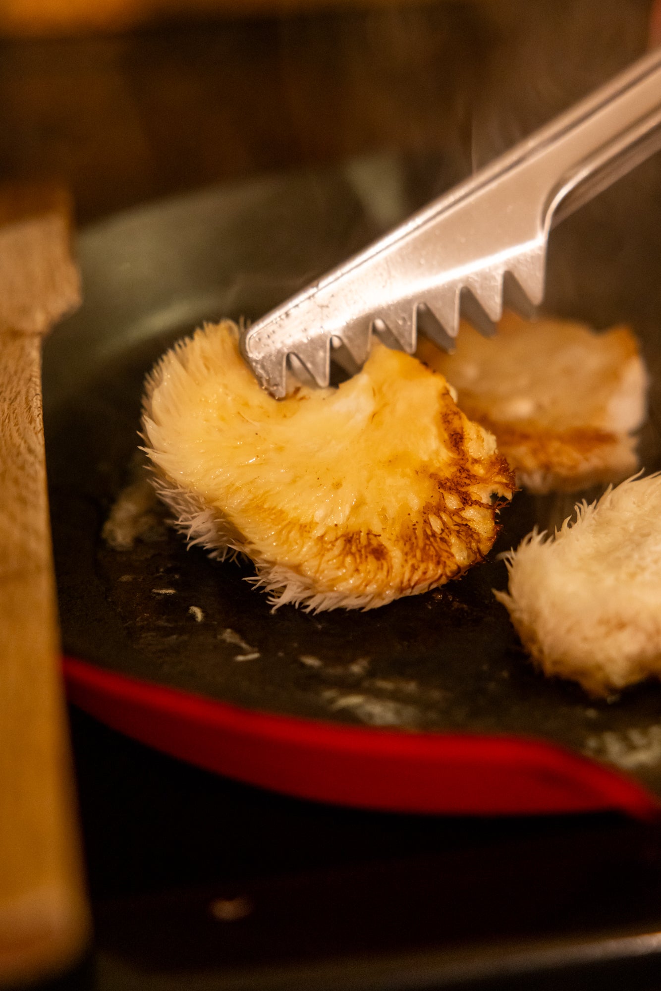 lion's mane mushroom grow kit