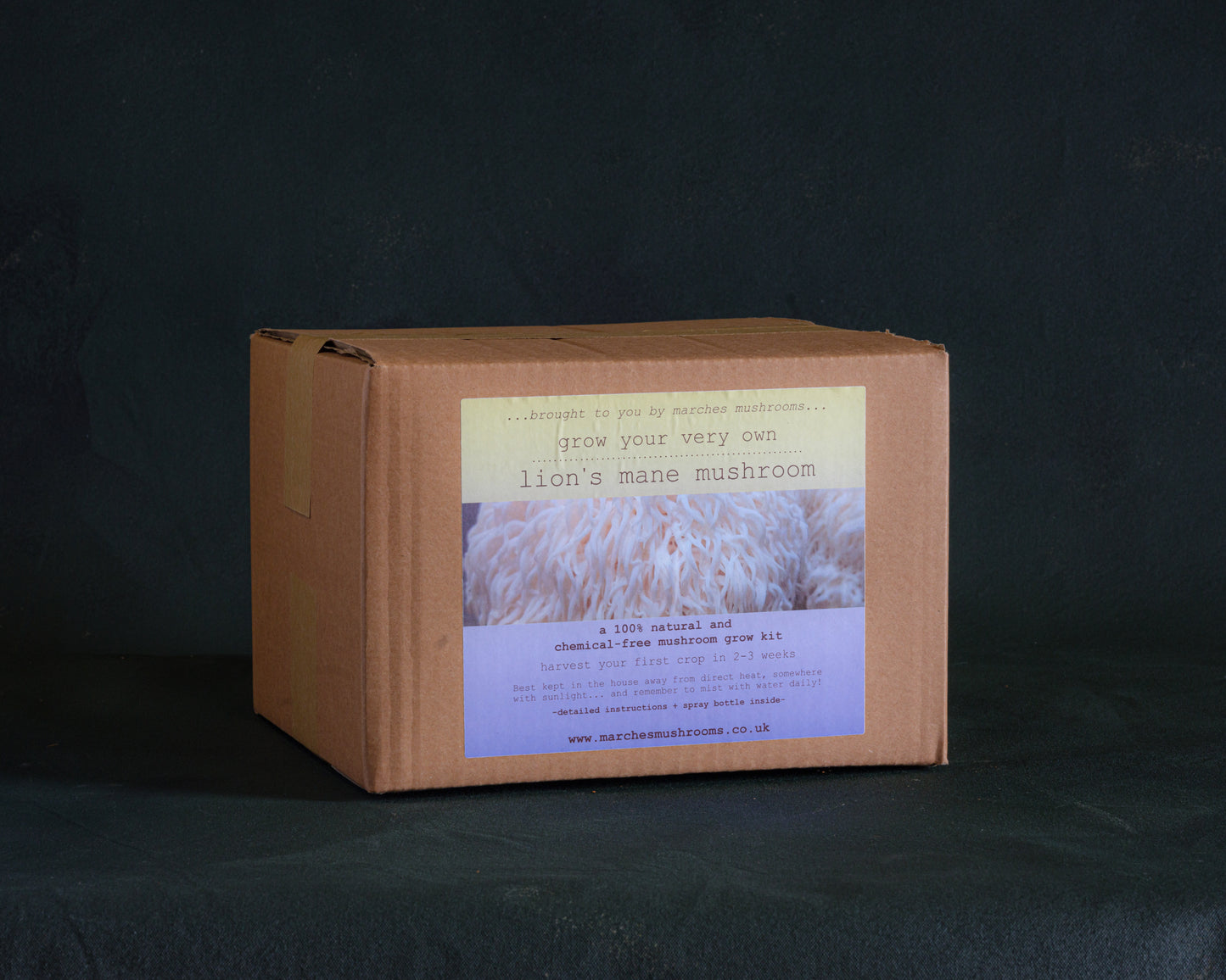 lion's mane mushroom grow kit