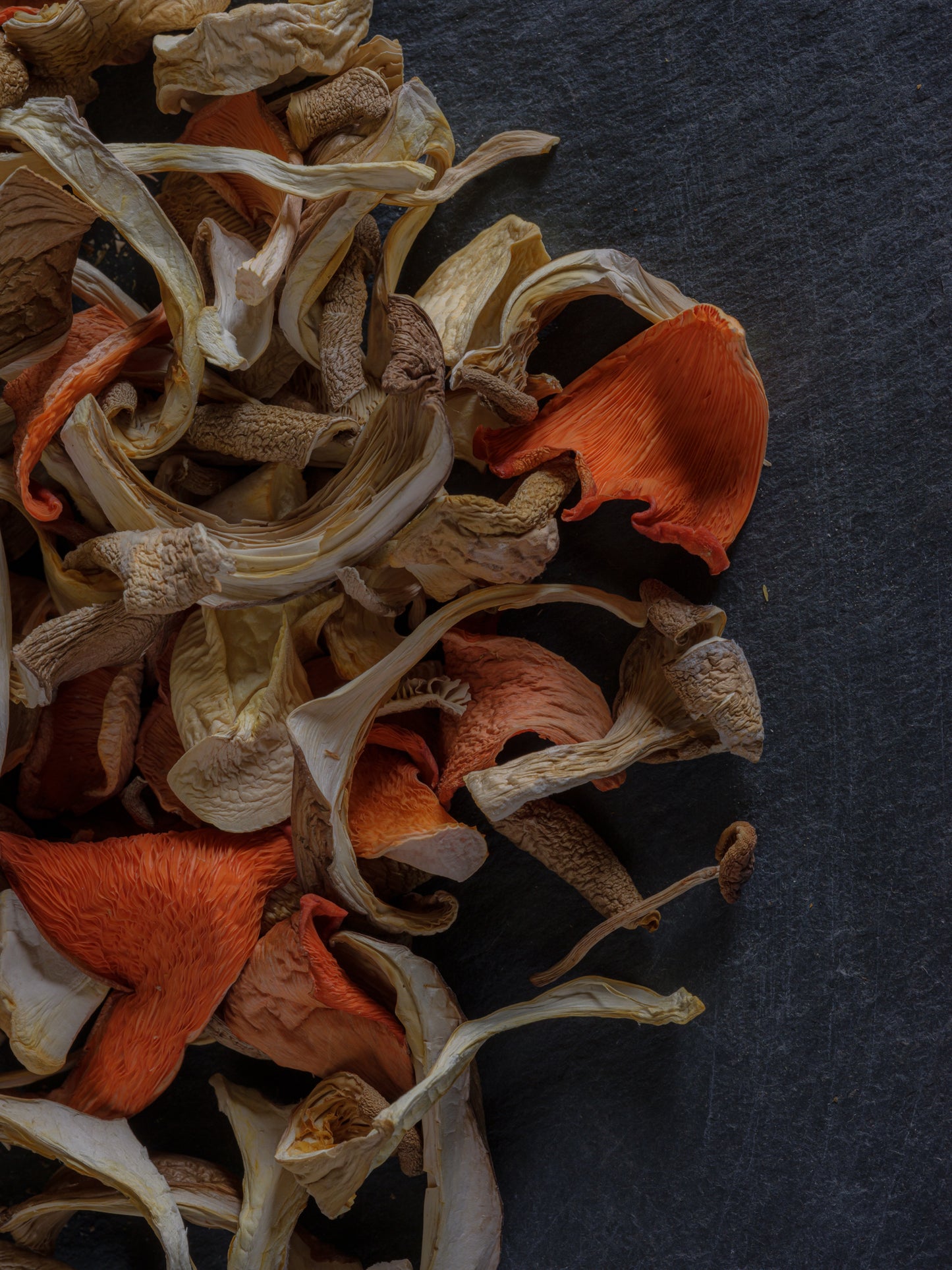 dried woodland mushroom mix