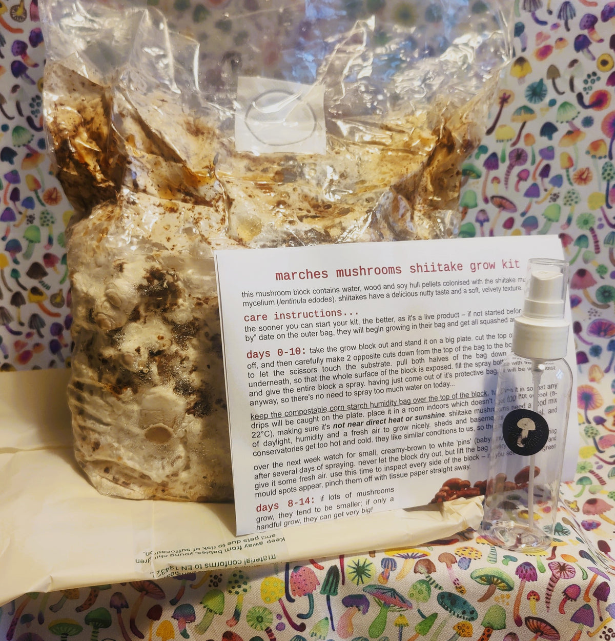 Marches Mushrooms Shiitake grow kit contents — fruiting block, spray bottle and instructions