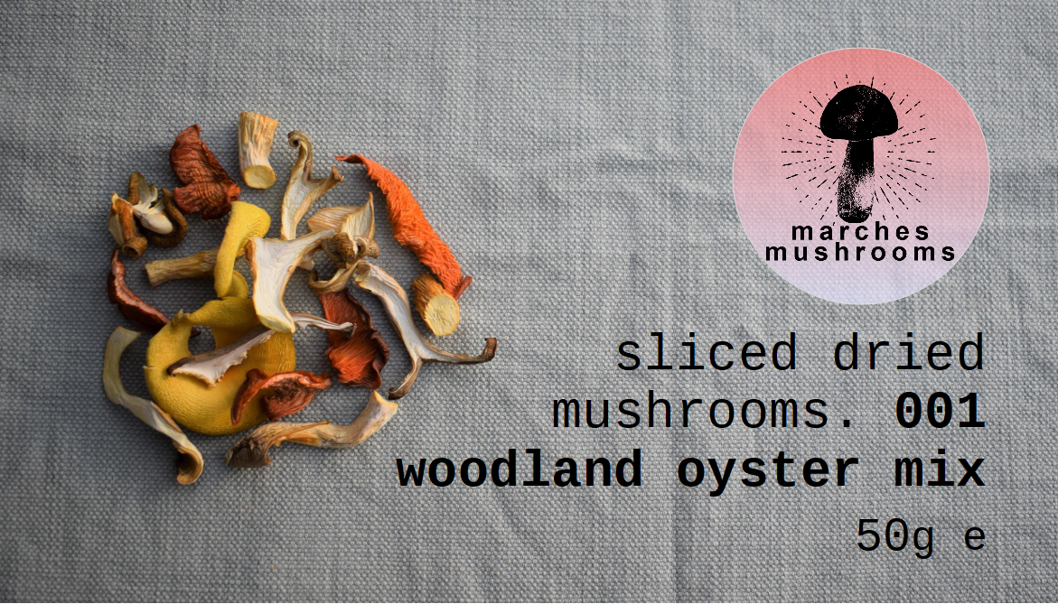 dried woodland mushroom mix