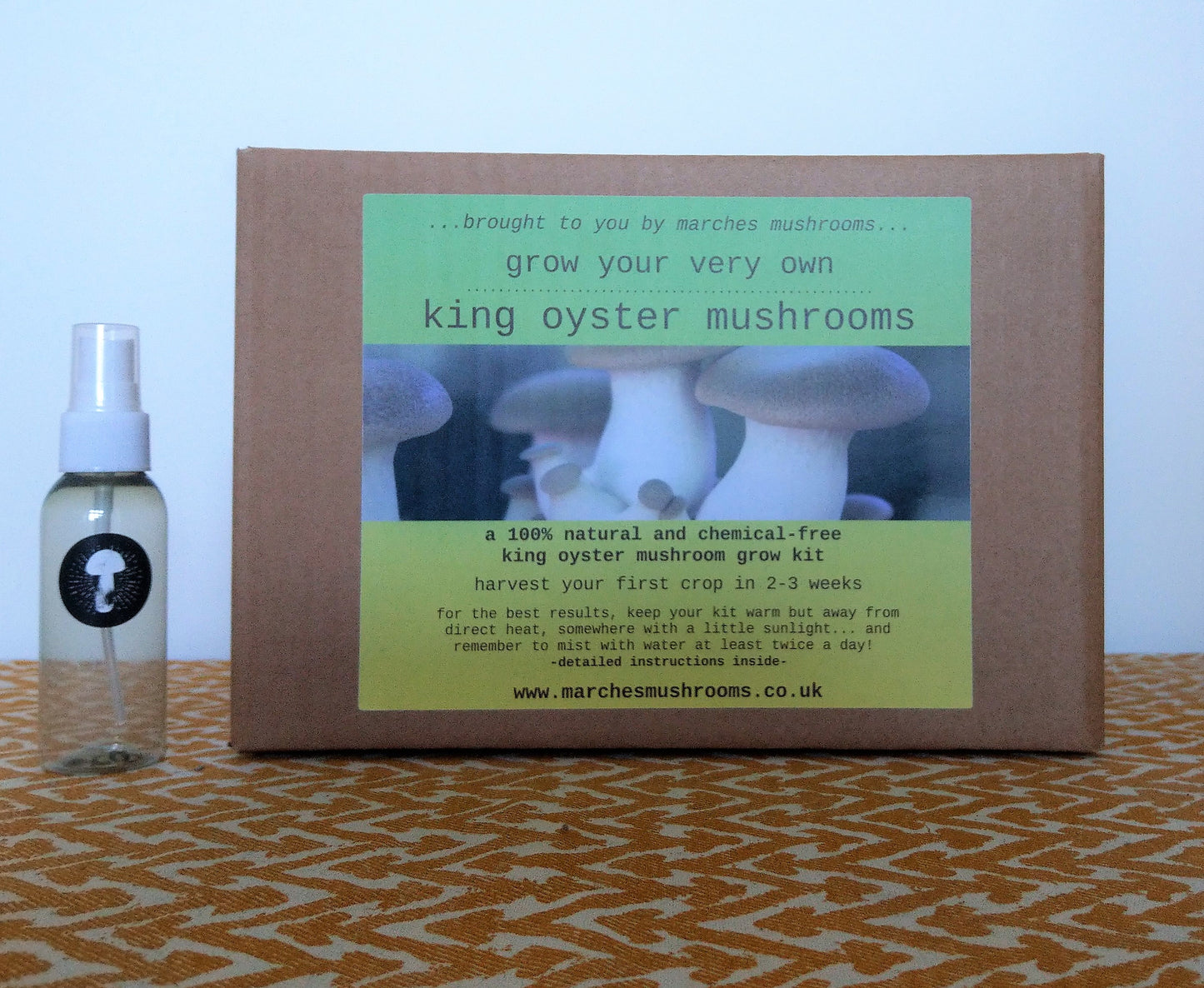 king oyster mushroom grow kit