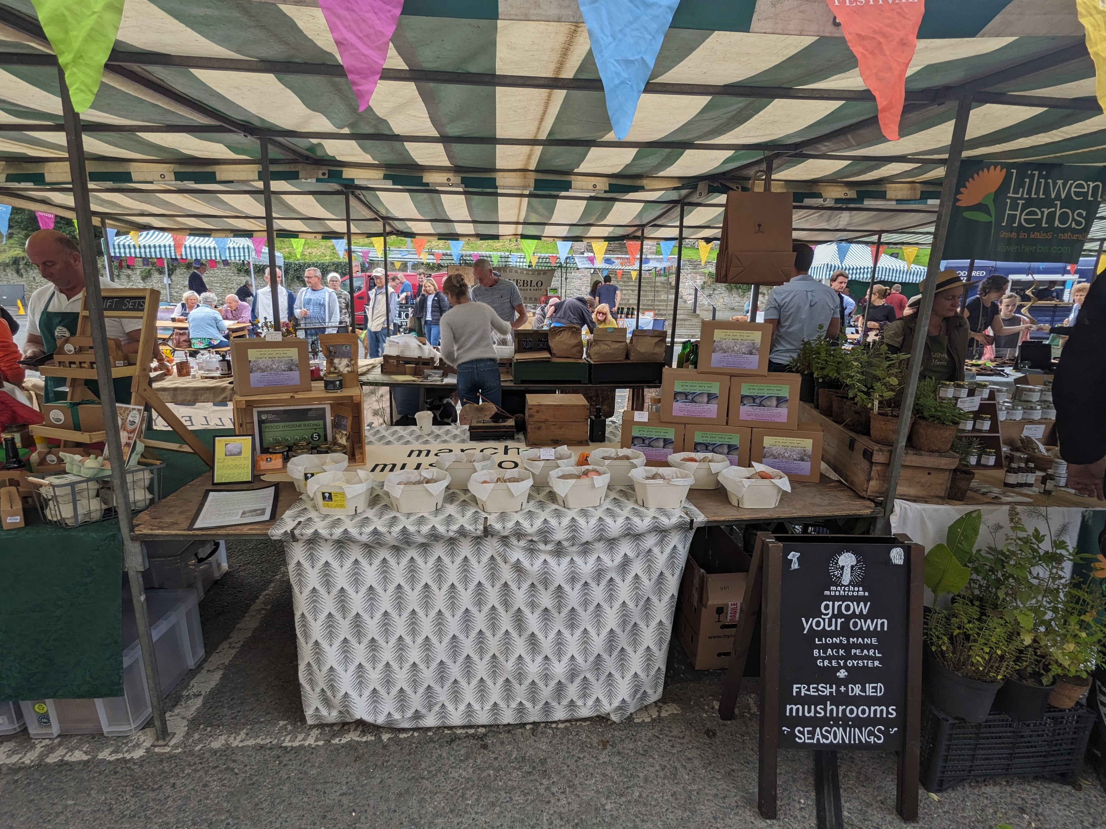 A bustling outdoor market stall under a green and white striped canopy, displaying various mushroom products including boxed mushroom kits, fresh mushrooms, seasoning jars, and a chalkboard sign advertising growing mushrooms.