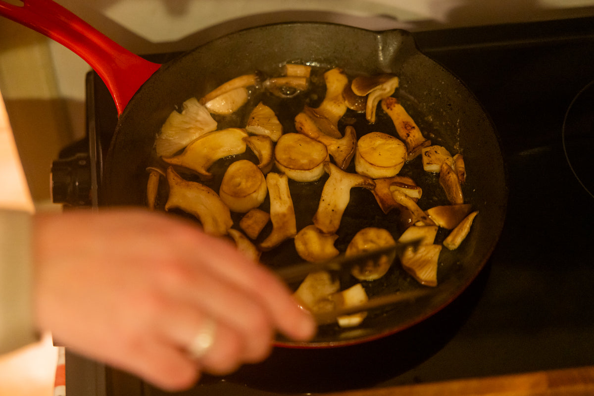 fresh blue-grey oyster mushrooms
