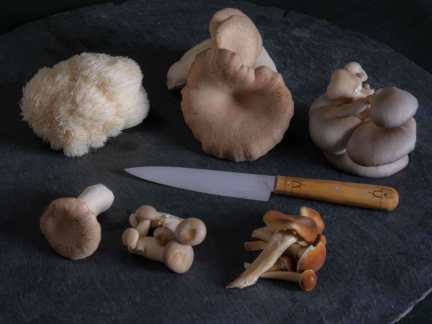 dried oyster mushroom mix