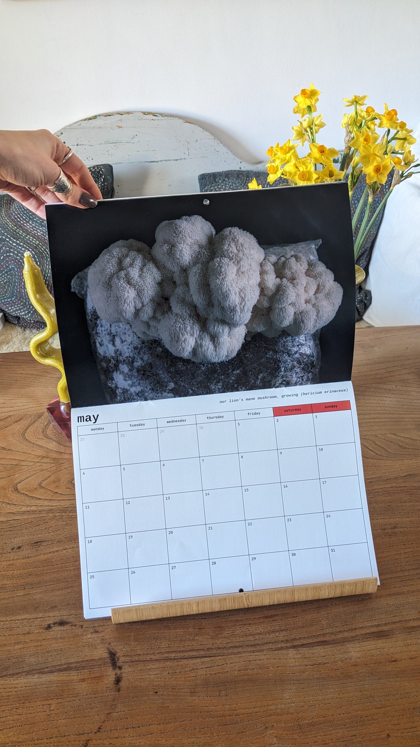 2026 mushroom wall calendar