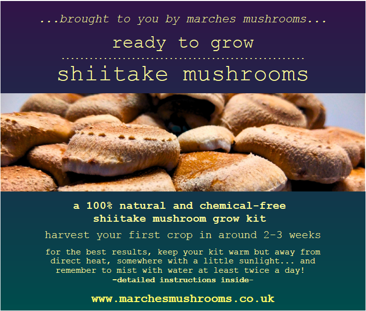 Ready to grow shiitake mushroom kit by Marches Mushrooms