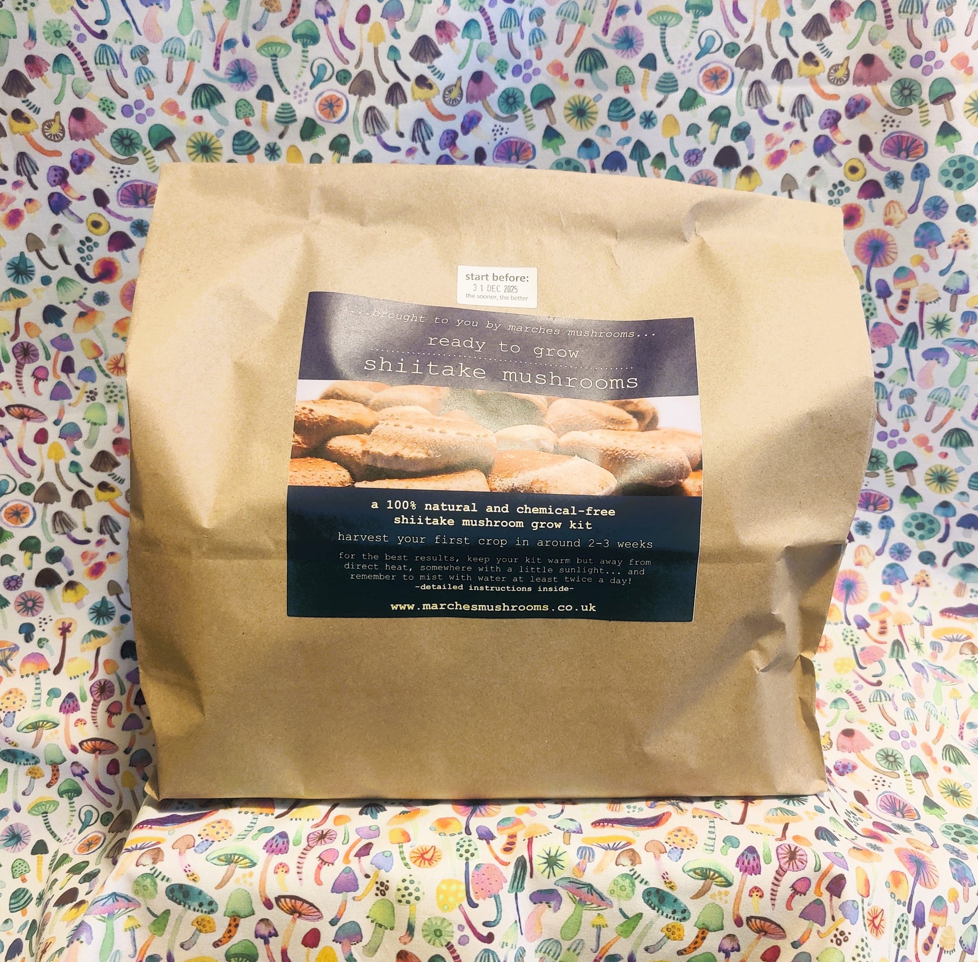 Grow kit bag for natural and chemical-free shiitake grow at home kit from marches mushrooms