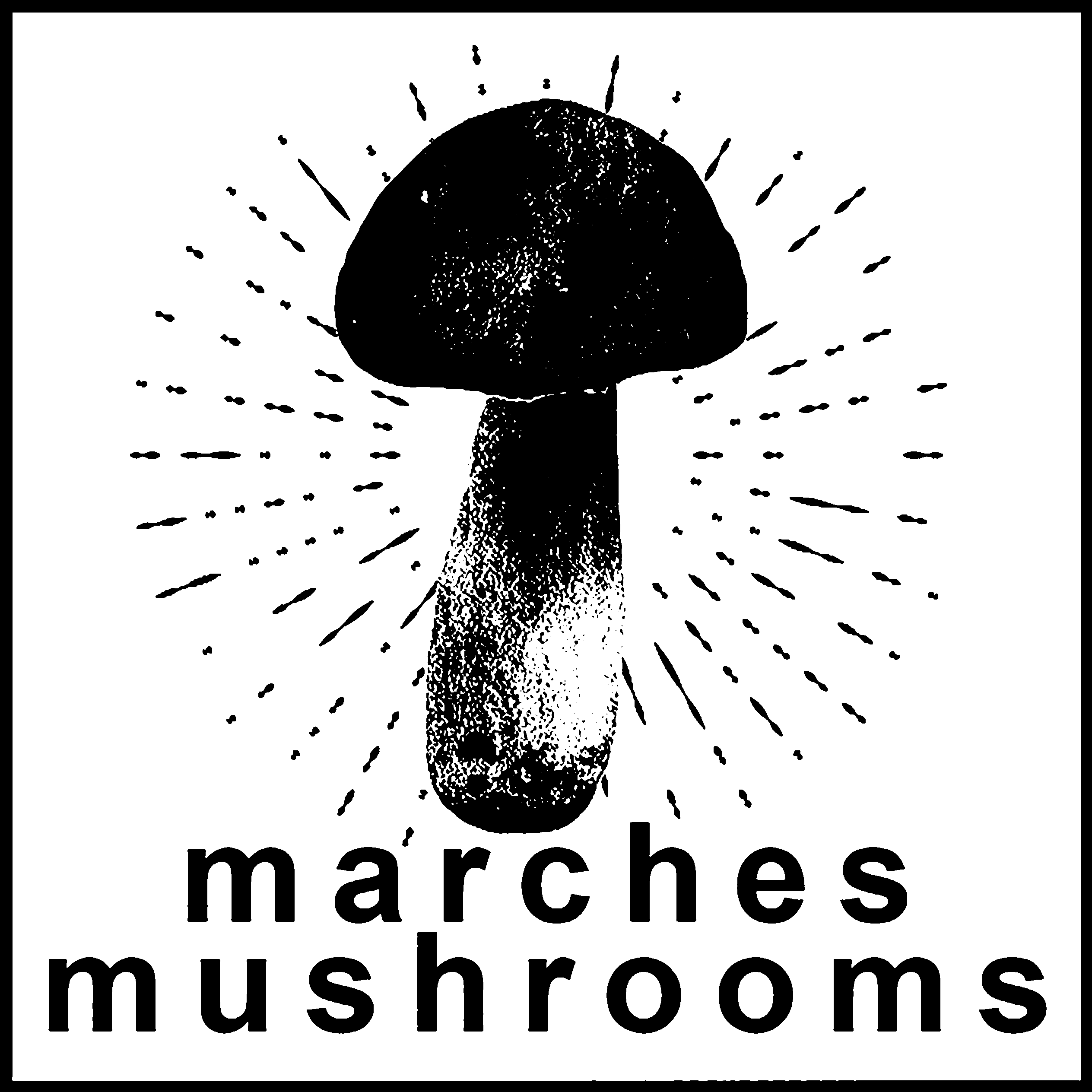 Where To Find Us Marches Mushrooms 