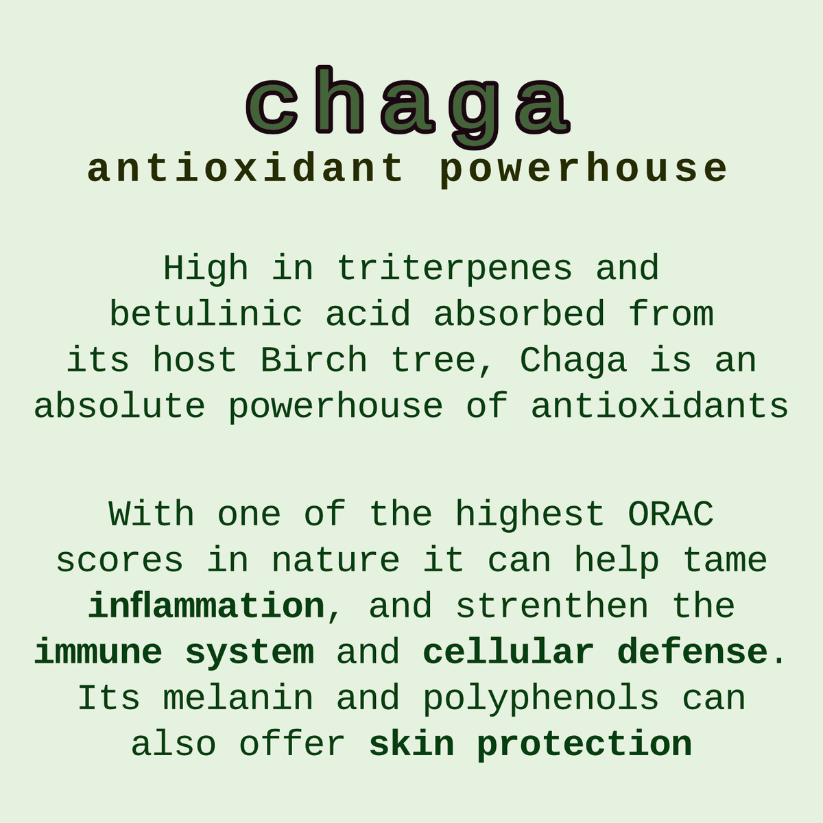 chaga triple extract