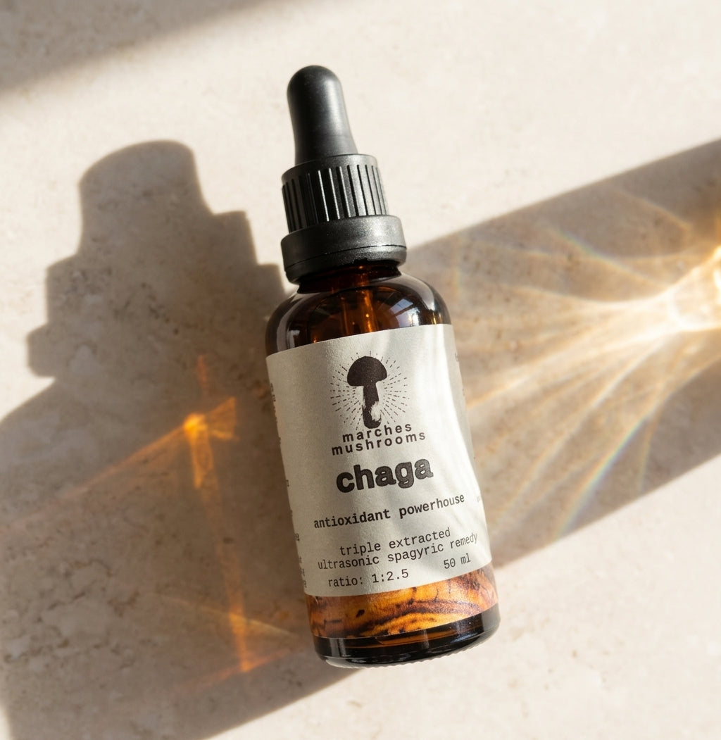 chaga triple extract