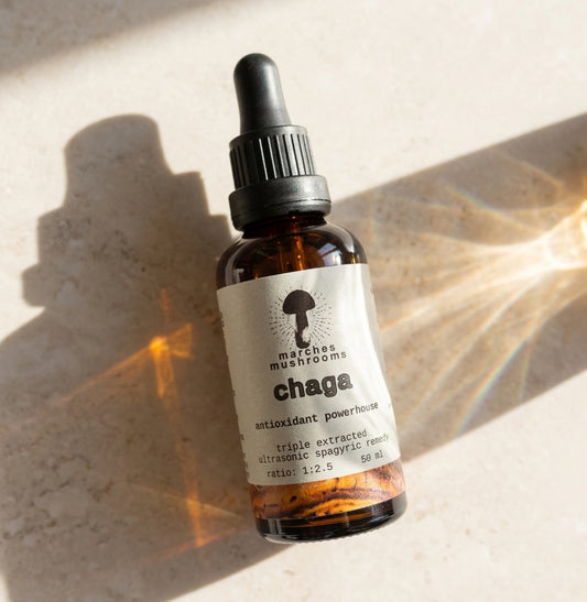 chaga triple extract