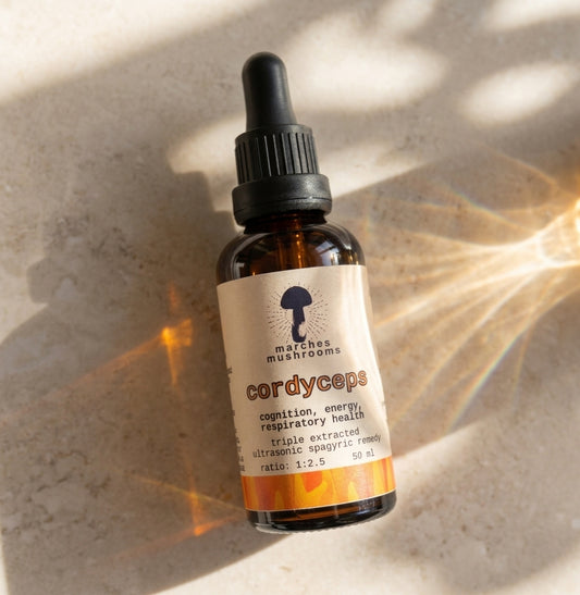 cordyceps triple extract