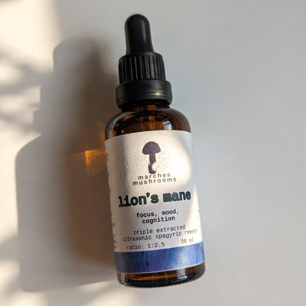 lion's mane triple extract
