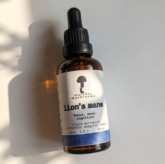 lion's mane triple extract