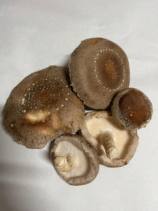 fresh shiitake mushrooms